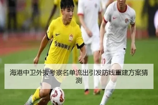海港中卫外援考察名单流出引发防线重建方案猜测